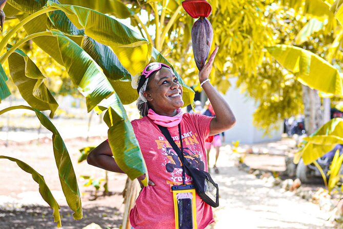 Buggy Tour Punta Cana: MagicalCaves ,Dream Beaches & Culture - Macao Beach provides the cleanest reset