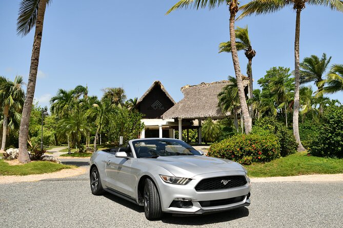 Cars for Rent in Punta Cana - What the Service Is Like