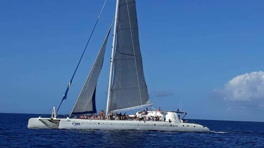 Catalina Island: Day Trip - Best Snorkeling! - Who will get the most from this excursion