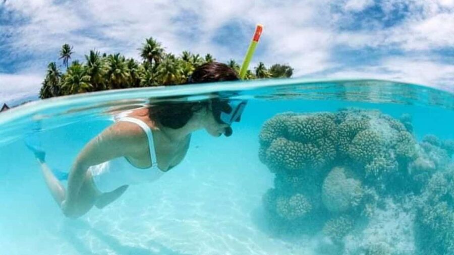 Catalina Island: Day Trip - Best Snorkeling! - The Wall gives the trip its best underwater setting