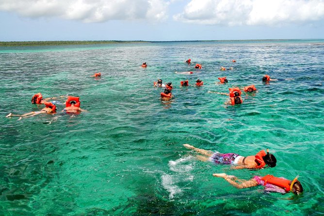 Catalina Island DayTrip + Great Snorkeling - Playa Bayahibe and the second reef stop