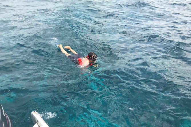 Catalina Island DayTrip + Great Snorkeling - Is $90 a good value?