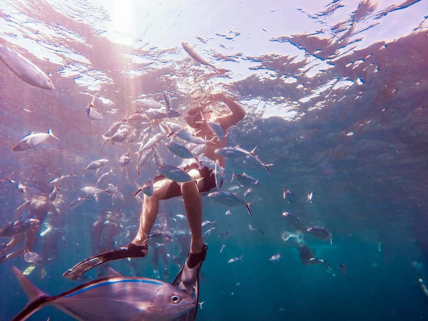 Catalina Island Full-Day Snorkeling + Lunch from Punta Cana - Key points to know before booking