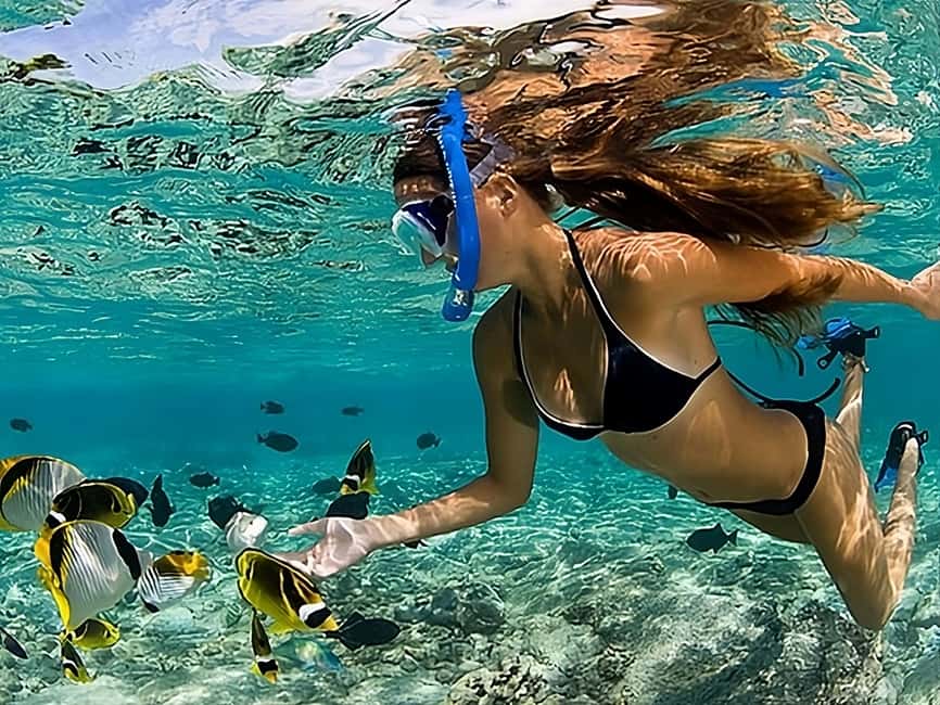 Catalina Island Full-Day Snorkeling + Lunch from Punta Cana - Small steps that can improve the day