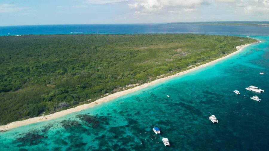 Catalina Island Full-Day Snorkeling + Lunch from Punta Cana - Who should choose this Catalina Island trip?