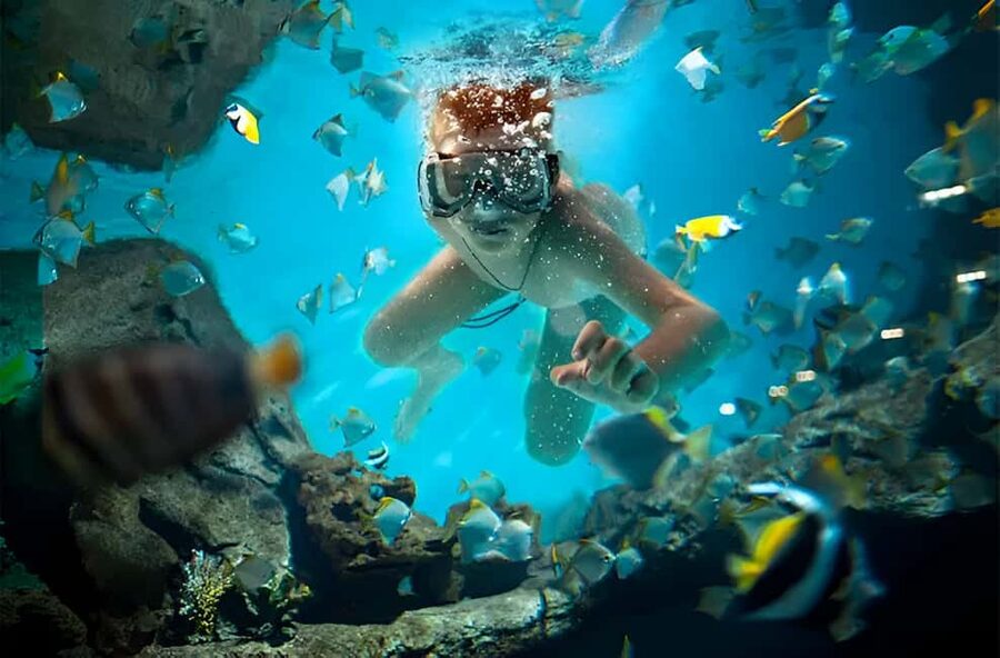 Catalina Island Full-Day Snorkeling + Lunch from Punta Cana - From Punta Cana to the Cumayasa River