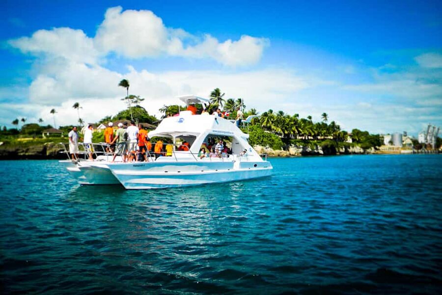 Catalina Island Scuba Diving Tour from Punta Cana - The Wall, Catalina Island’s eastern site