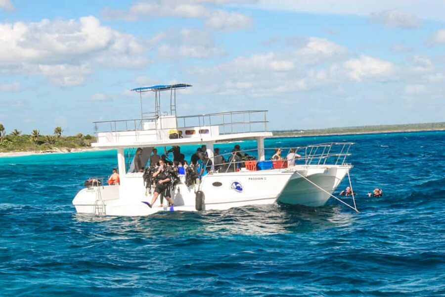Catalina Island Scuba Diving Tour from Punta Cana - The Aquarium and the morning water session