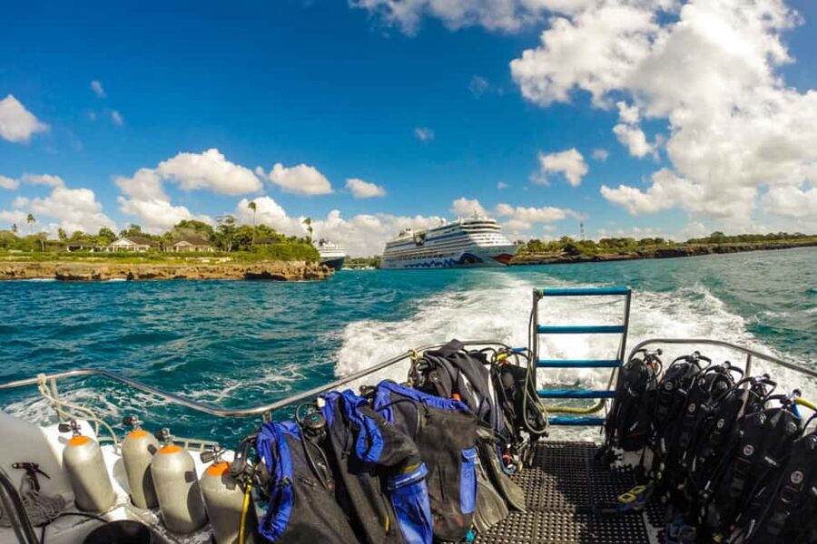 Catalina Island Scuba Diving Tour from Punta Cana - Who will enjoy this Catalina Island day?
