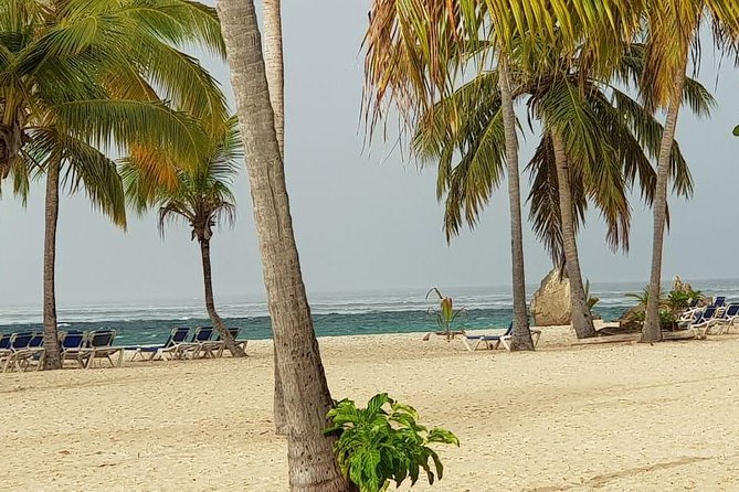 Catalina Island Snorkeling: Explore its Crystal Clear Waters - From Punta Cana to La Romana by morning
