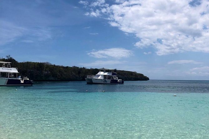 Catalina Island Snorkeling: Explore its Crystal Clear Waters - The boat atmosphere and group size