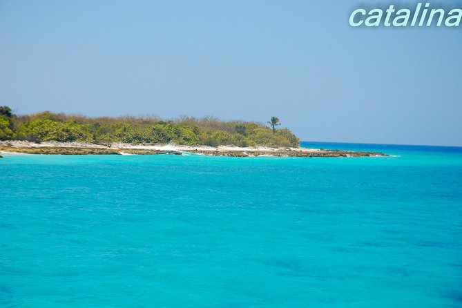 Catalina Island & Snorkeling Tour - The 7:30 a.m. pickup and long road to La Romana