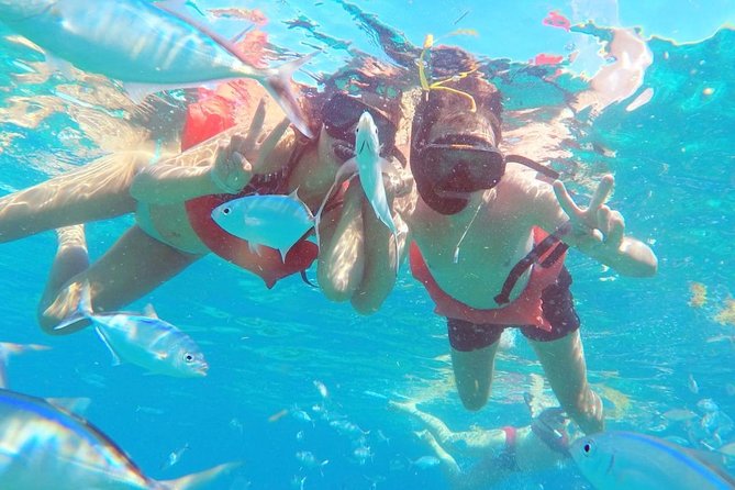 Catalina Island & Snorkeling Tour - Catalina’s beach, swimming, and slower hours