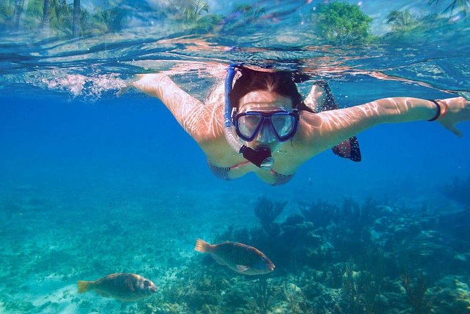 Catalina Island & Snorkeling Tour - What the price means for your day