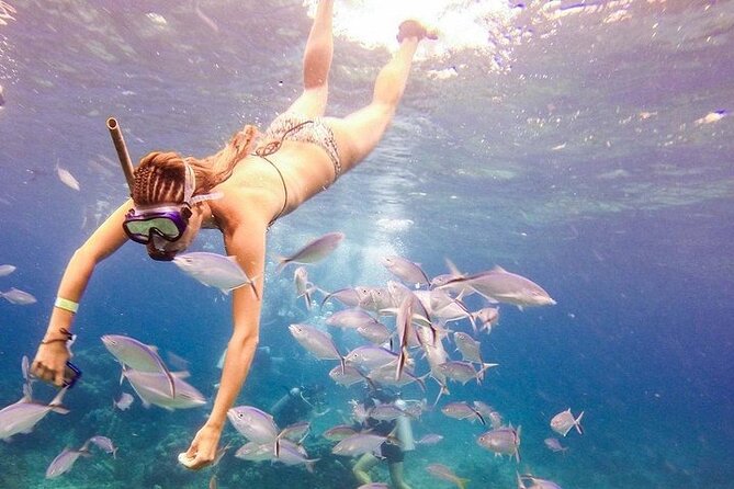 Catalina Island & Snorkling Tour Full Day All Inclusive - Snorkeling at the Wall