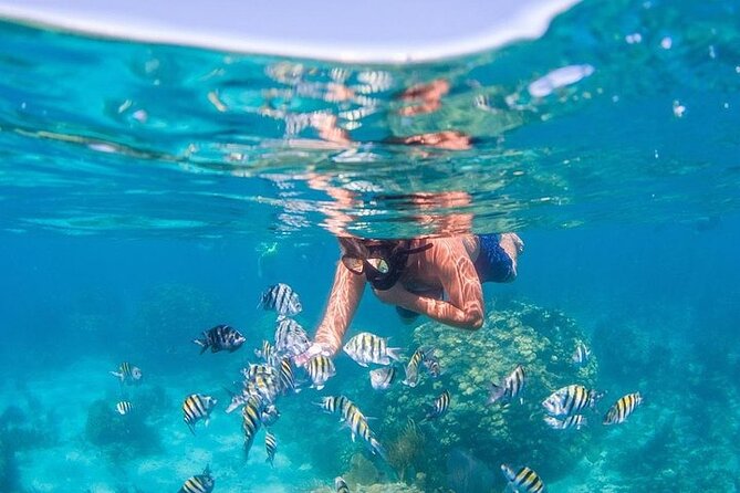 Catalina Island & Snorkling Tour Full Day All Inclusive - Boarding the Paradise catamaran