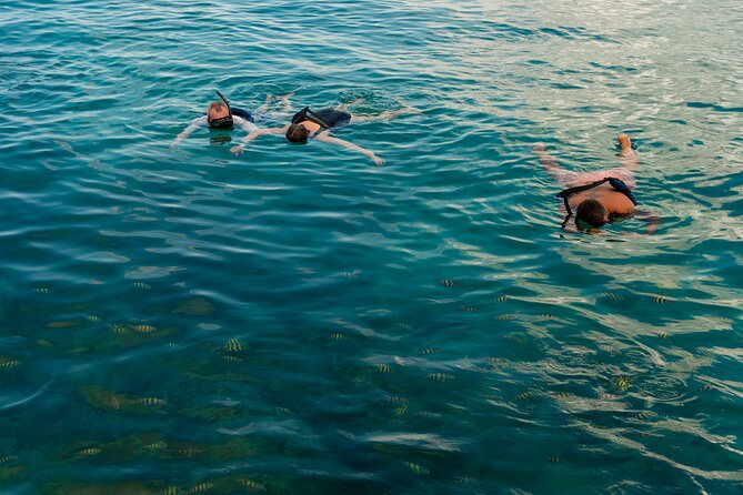 Catalina Sailing Experience in Punta Cana with Food and Drinks - What to bring and what to confirm