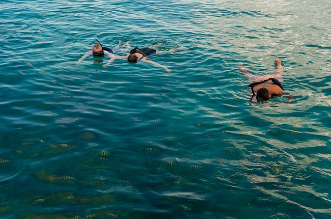 Catalina Sailing Experience in Punta Cana with Food and Drinks - Who will get the most from this tour