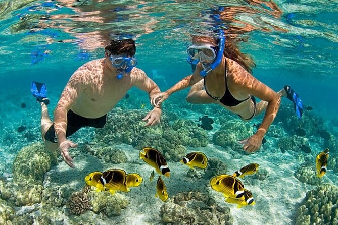 Catamaran Party in Punta Cana Includes Drink and Transportation - What your $69 includes