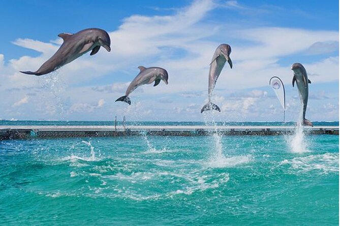 Catamaran Party in Punta Cana with Unlimited Drinks - Ending at the natural pool