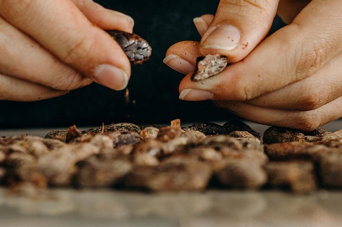 Chocolate Master Class & Taino Concept Store - What the Punta Cana chocolate class really includes