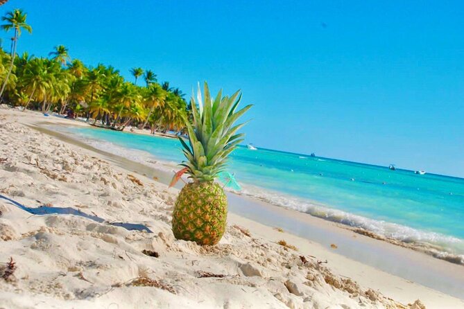 Day Trip to Saona Island with Lunch and Open Bar - The social side of a group excursion