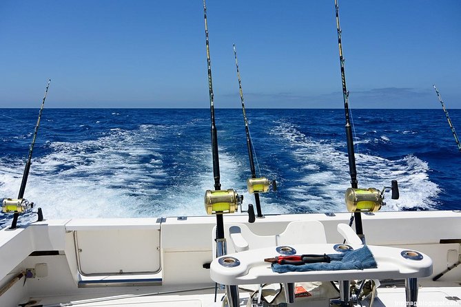 Deep Sea Fishing Tour - What the Punta Cana fishing trip is really like