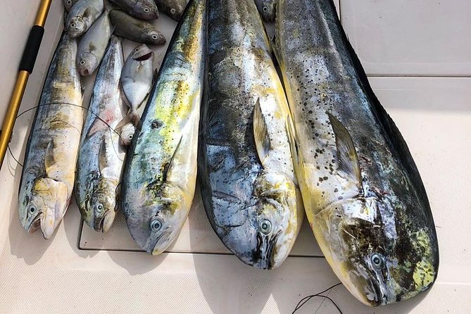 Deep Sea Fishing Tour - The good side of a small crew