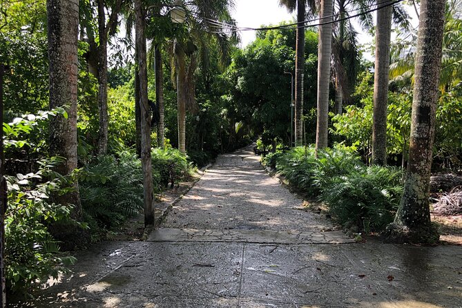 Discover Dominican life - Why this Punta Cana day feels different