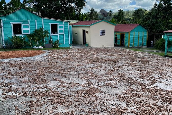 Discover Dominican life - Who should book this experience
