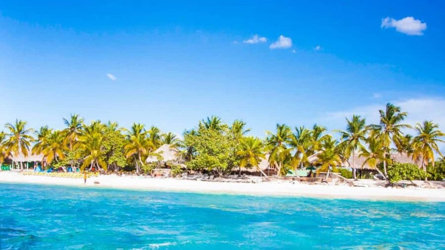 Discover Punta Cana: Full-Day Saona Island All Included - Pickup from Punta Cana, Bávaro, or Uvero Alto