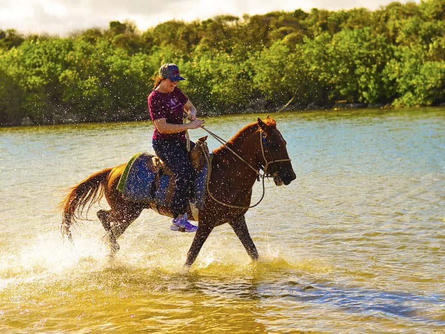 Discover the Trails of Punta Cana on a Horseback Ride - What the two-hour price really includes