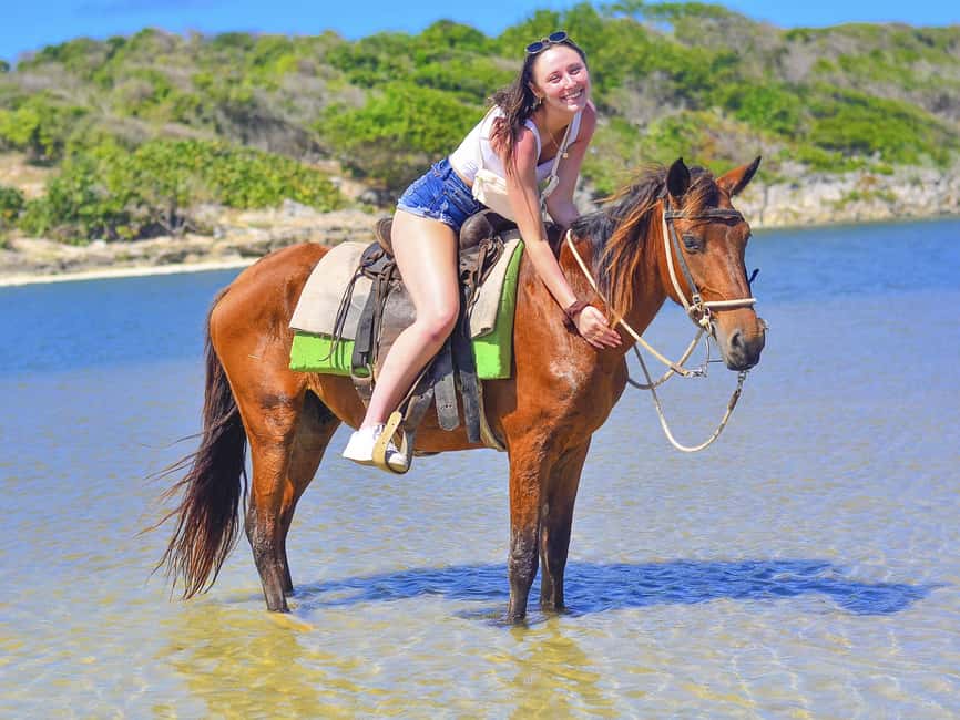 Discover the Trails of Punta Cana on a Horseback Ride - Who should book this beach ride?