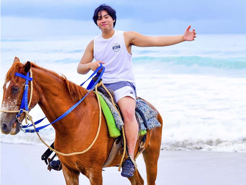 Discover the Trails of Punta Cana on a Horseback Ride - Should you book this Punta Cana horseback ride?