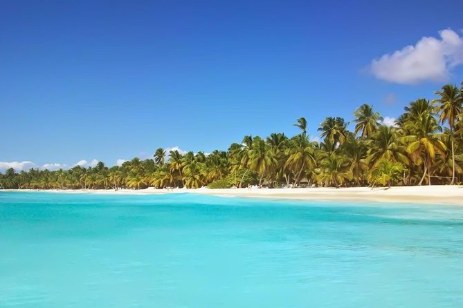 Discovery Package Saona Island & ATV From Punta Cana - Key points at a glance