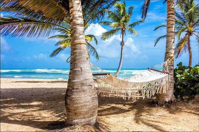Dominican countryside, culture and beach escape with lunch - Coffee, cocoa, sugar cane, and a cigar factory