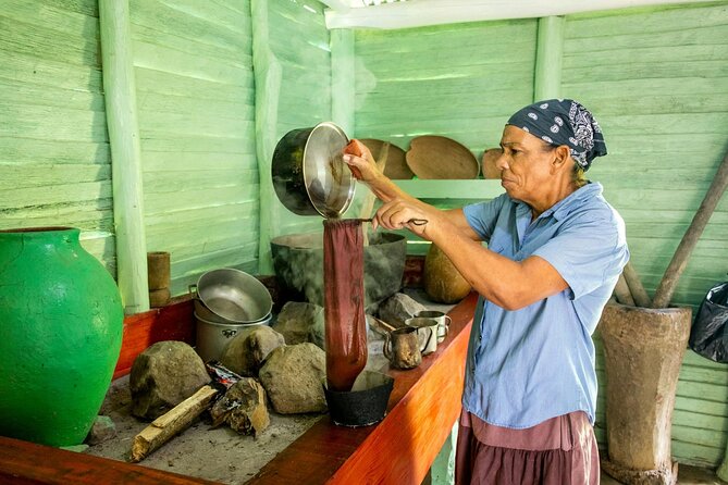 Dominican countryside, culture and beach escape with lunch - Music and conversation make the bus ride matter