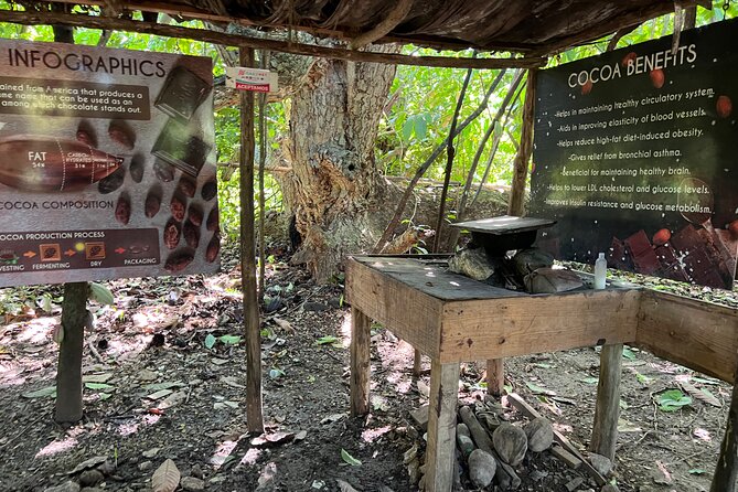 Dominican Culture Tour - Museo de La Altagracia in a 30-minute visit