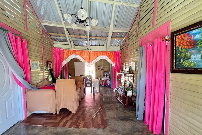 Dominican Culture Tour - Transport, group size, and the practical details