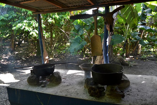 Dominican Republic Countryside Safari Tour from Punta Cana - From Punta Cana hotels to the Anamuya Mountains