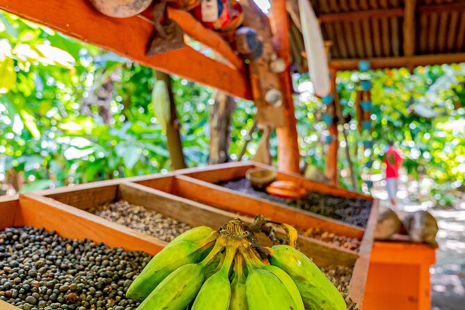 Dominican Republic Countryside Safari Tour from Punta Cana - Food, drinks, and responsible enjoyment