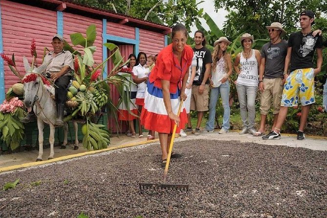 Dominican Safari Half Day... - The Altagracia Basilica and Higüey’s religious center