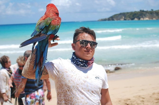 Dune Buggy Adventure by Caribbean Tour Service - Group Size, Safety, and Comfort