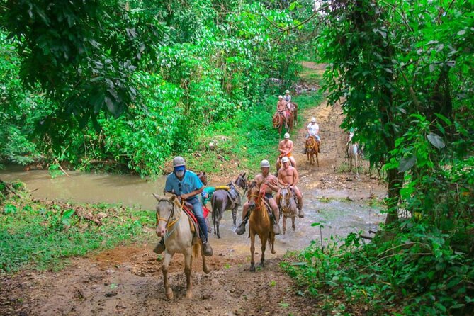 Eco Aventure Park+ Zipline+Horseback Ride+Buggy - What the $114 Price Really Covers