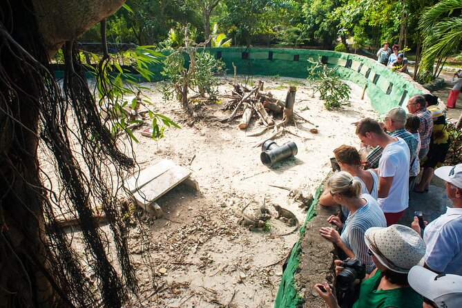 Eco Exploration: Golf Cart Adventure and Catamaran Cruise - Why this Punta Cana day works so well