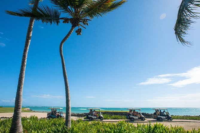 Eco Exploration: Golf Cart Adventure and Catamaran Cruise - Argentine BBQ with Dominican sides