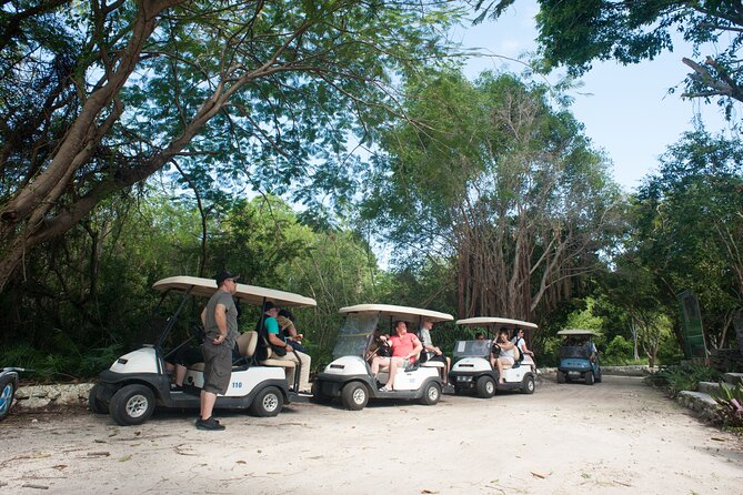 Eco Exploration: Golf Cart Adventure and Catamaran Cruise - Golf carts through Punta Cana’s green side