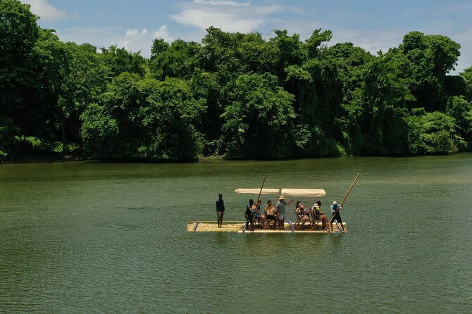 Eco Park Punta Cana by Marinarium Parks - Meeting cattle, horses, and smaller farm animals