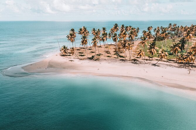 ECO TOUR Playa El Limon (Excursion Multi-activites) - Key points at a glance