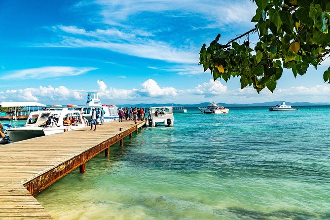 El Limon Waterfall and Bacardi Island Tour from Punta Cana with Lunch Included - The hike to Salto del Limón